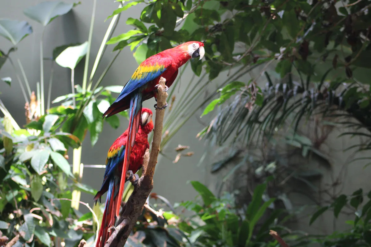 Montréal Biodôme, Canada