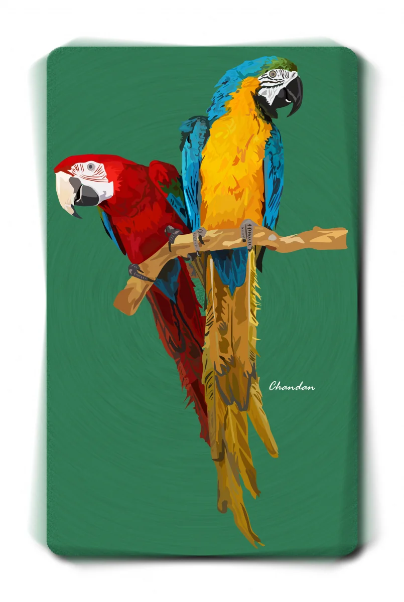 Parrot