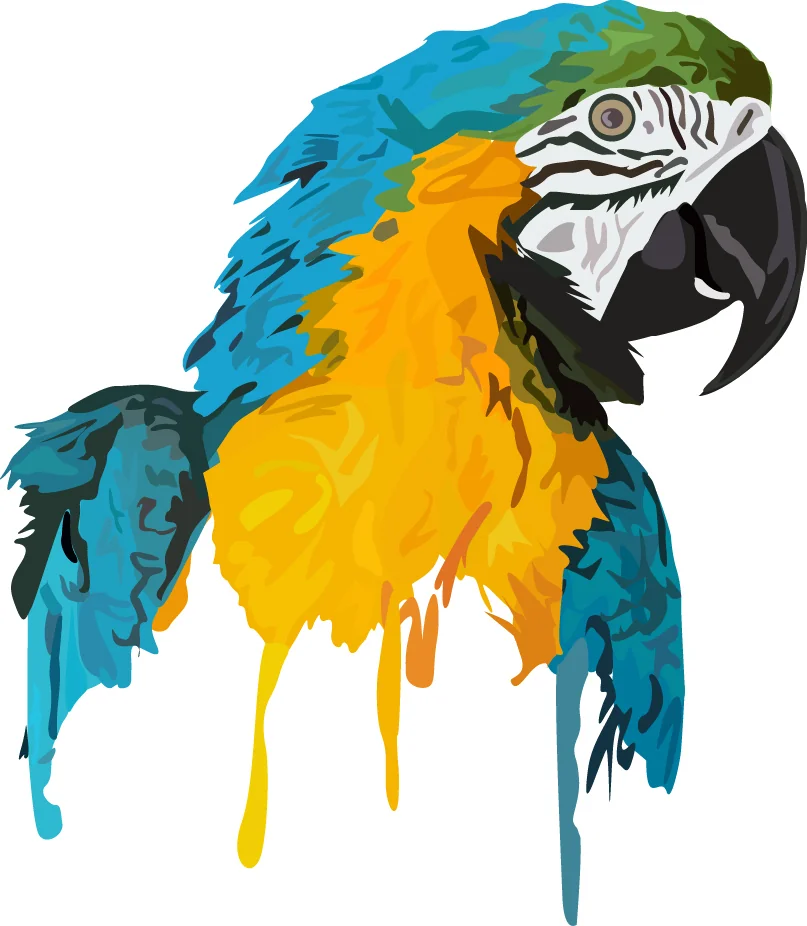 Parrot